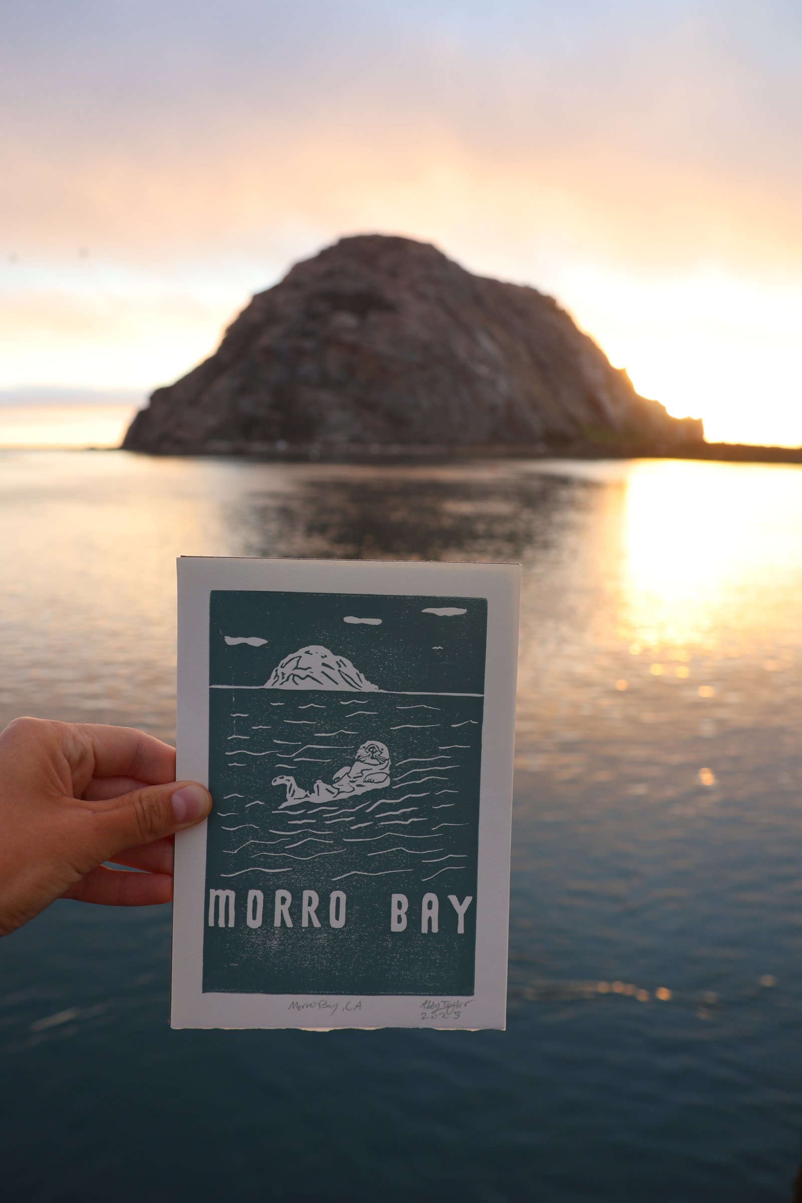 Morro Bay Otter Print 5" x 7" - Image 4